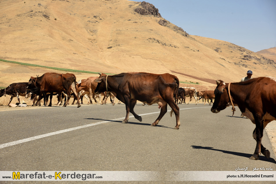 جاده های کردستان